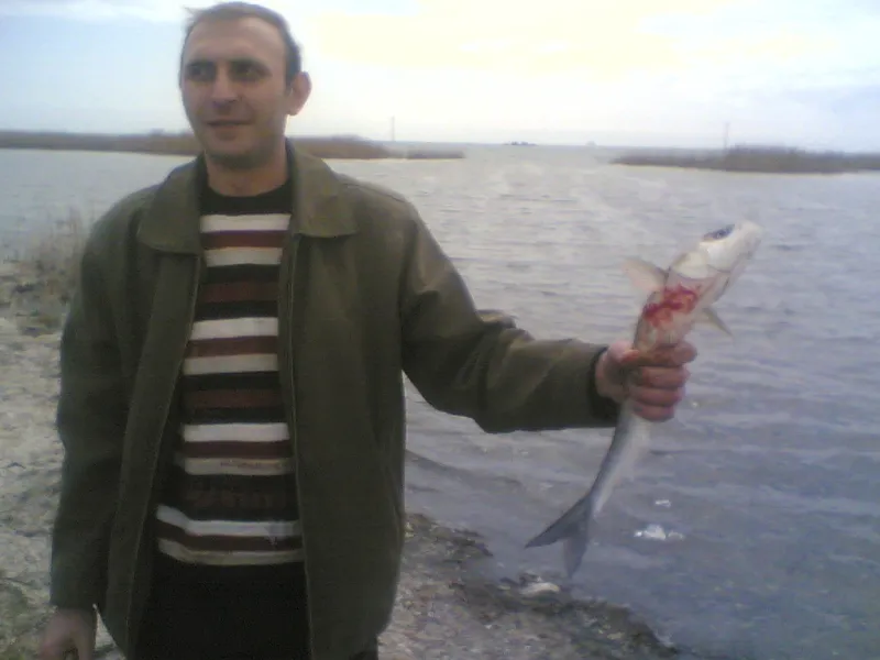 ЗГО