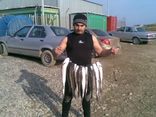 zgo kak vsegda