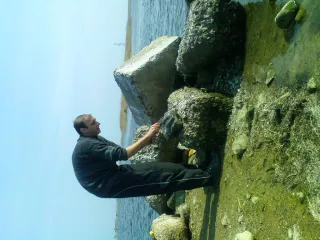ЗГО