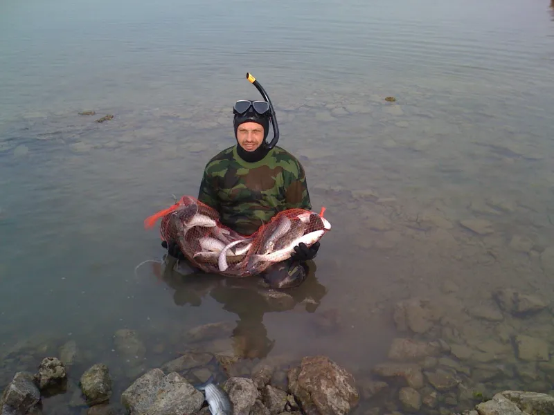 ЗГО