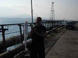 Приятный кутумчик!