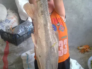 Барда, Карабахский канал.