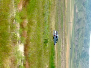 Шеки