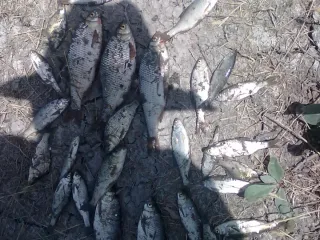 13км Сальянского шоссе,(Маяк)