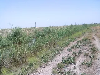 13км Сальянского шоссе,(Маяк)