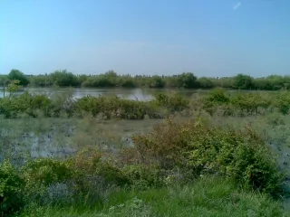 Кюрдемир, Кура, село Гарамахмудлу