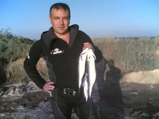 ЗГО