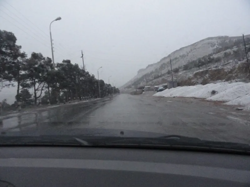 Сальяны