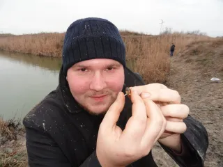 Сальяны