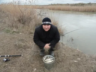 Вобла прет,не не прет валит....