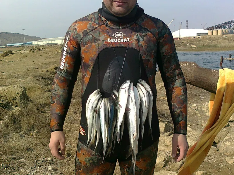 зго