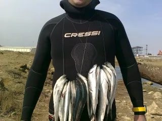 зго