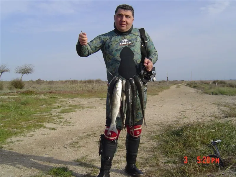Птичий остров и Другие острова
