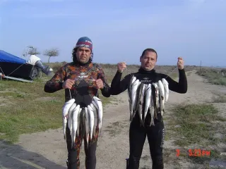 Птичий остров и Другие острова