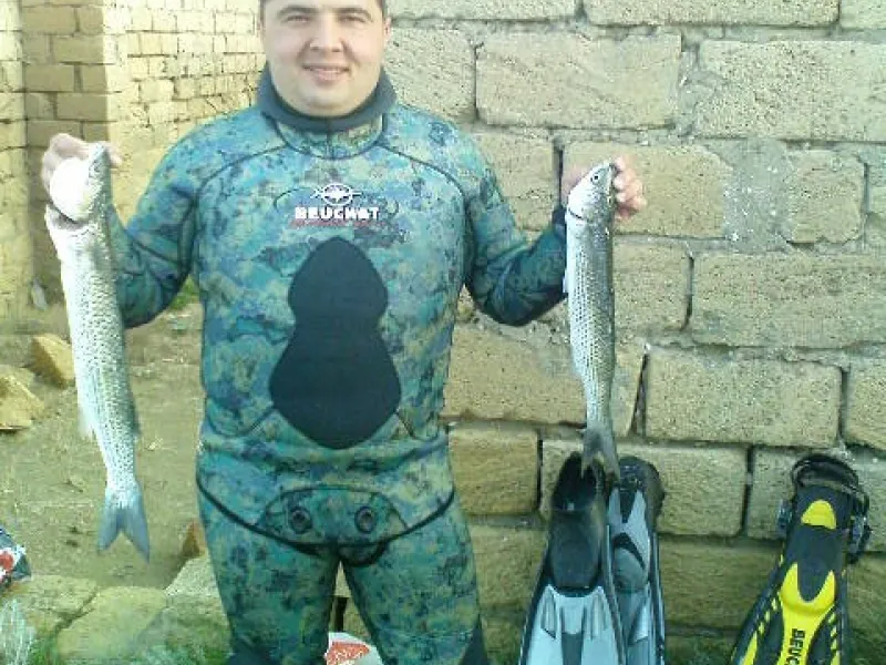 ЗГО