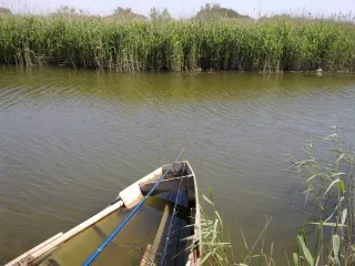 место ловли