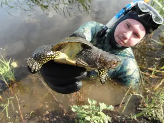 Черепатор
