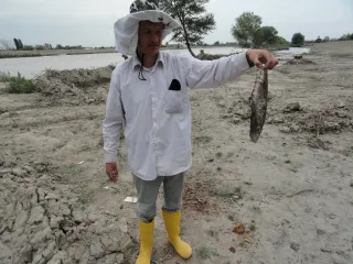 И ГРЯНУЛ ГРОМ! фотки