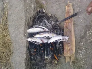 Хязяр дянизи
