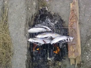 Хязяр дянизи