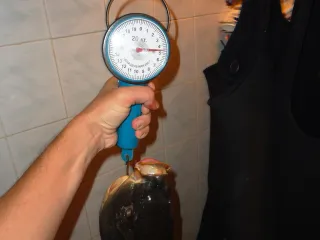 ЗГО.Все равно везде одинаково.