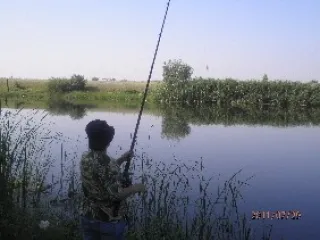 саратовская область город Балаково
