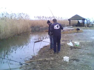 девечи