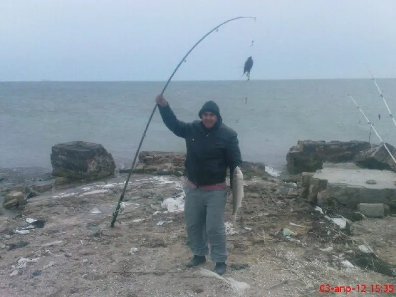 зиря