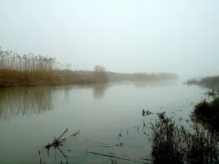 Канал, 91-й км