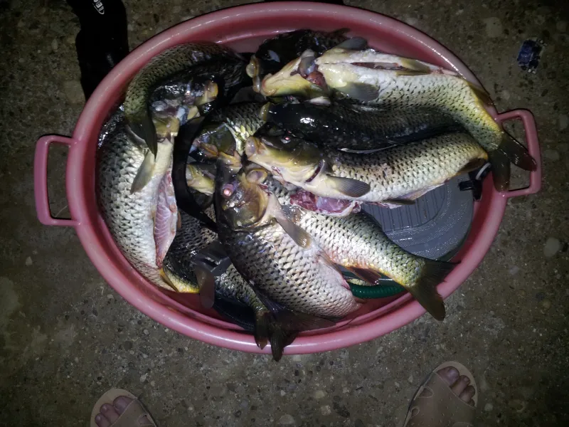 Bakuspearfishing.az