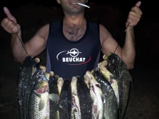 Bakuspearfishing.az
