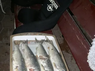 kaspiy