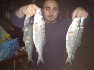 kaspiy