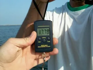 BAKU SPEARFISHING 2 DEN