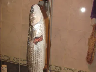 Артем