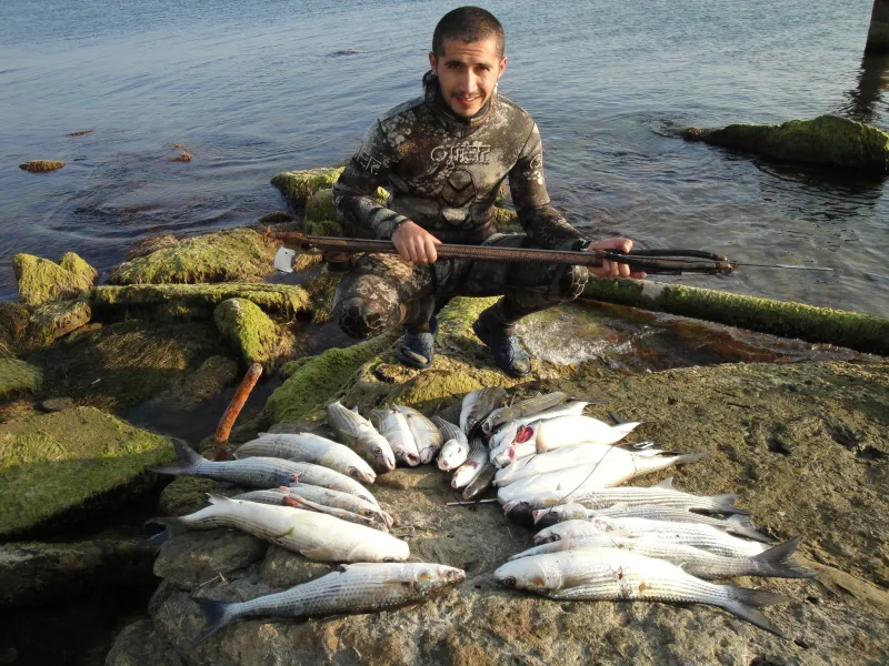 Baku spearfishing