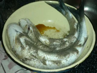 ЗГО