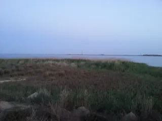 ЗГО