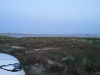 ЗГО
