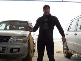 Бузовны