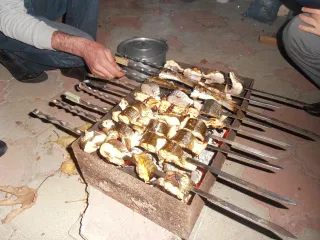 зиря