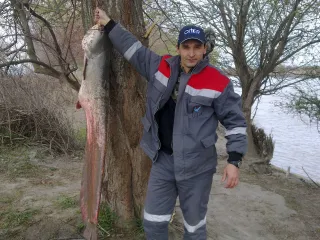 Кура
