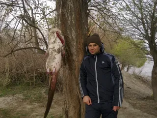 Кура