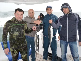 Наргин