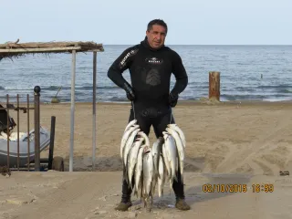 Бузовны(Загульба)
