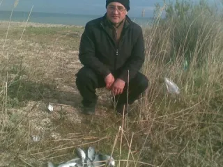 ЗГО