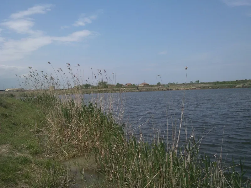 Девечи, село Рагимли
