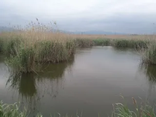 Девечи, село Рагимли