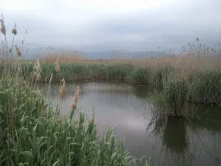 Девечи, село Рагимли