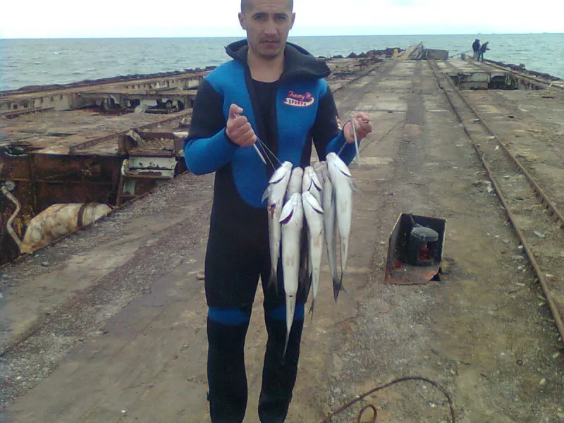 porom ZGO